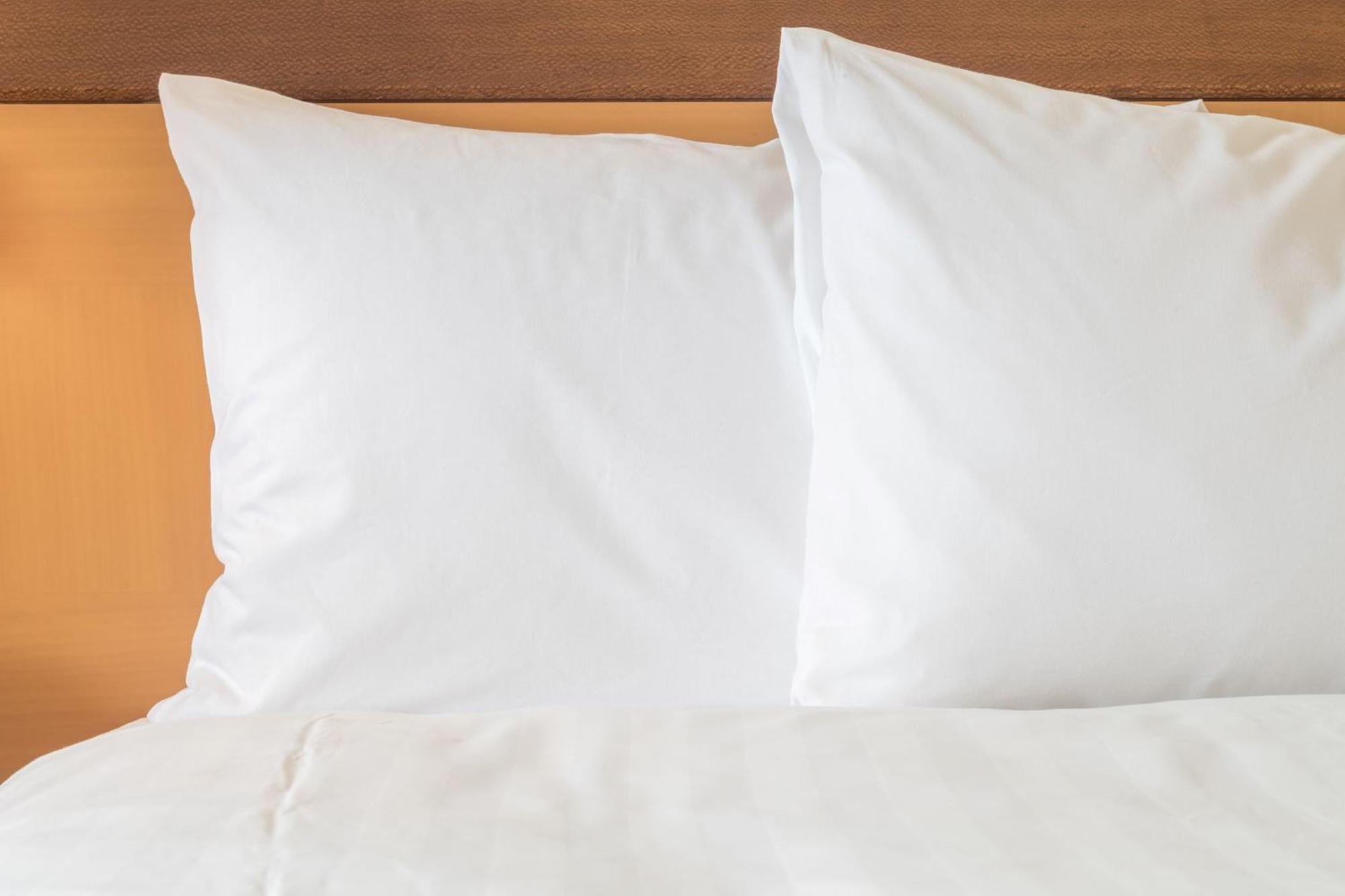Ana Crowne Plaza Sapporo By Ihg Hotel Ngoại thất bức ảnh